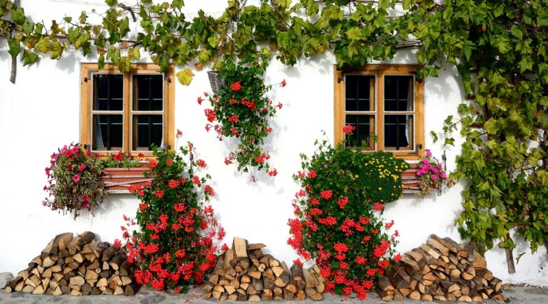 Proindiviso Inmobiliario, ¿Qué Es? Y ¿Qué Empresa Se Dedica A Ello?